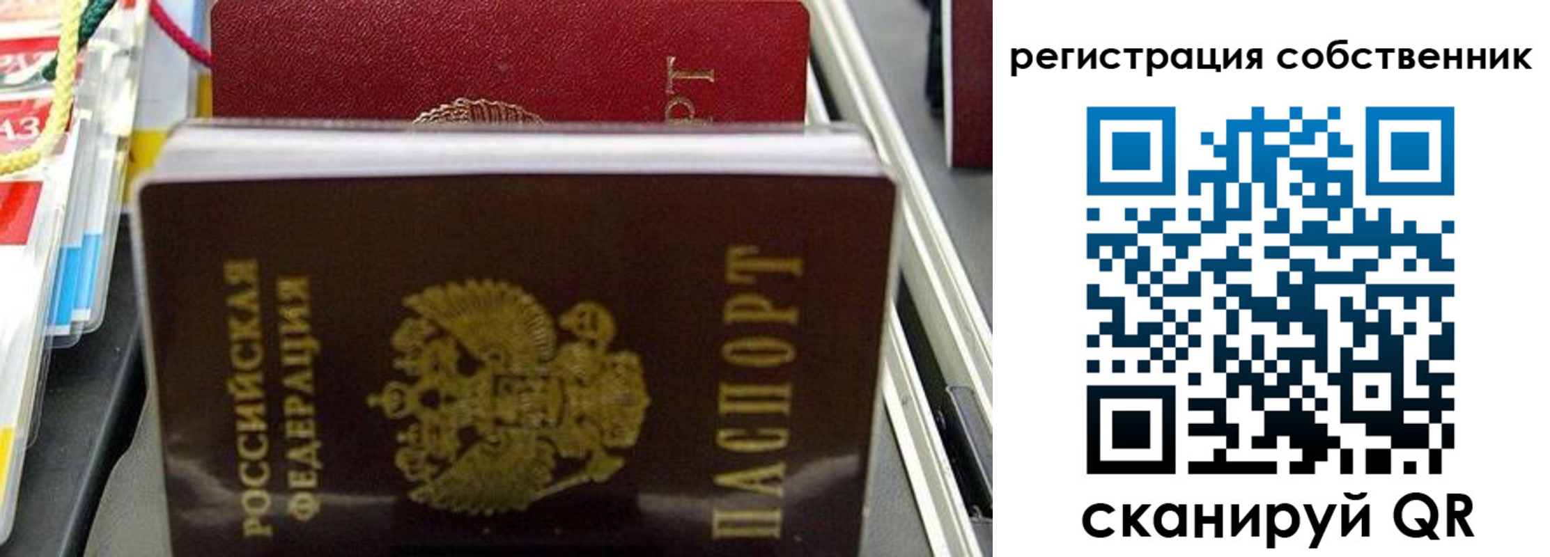 временная регистрация поиск в Калининградской области